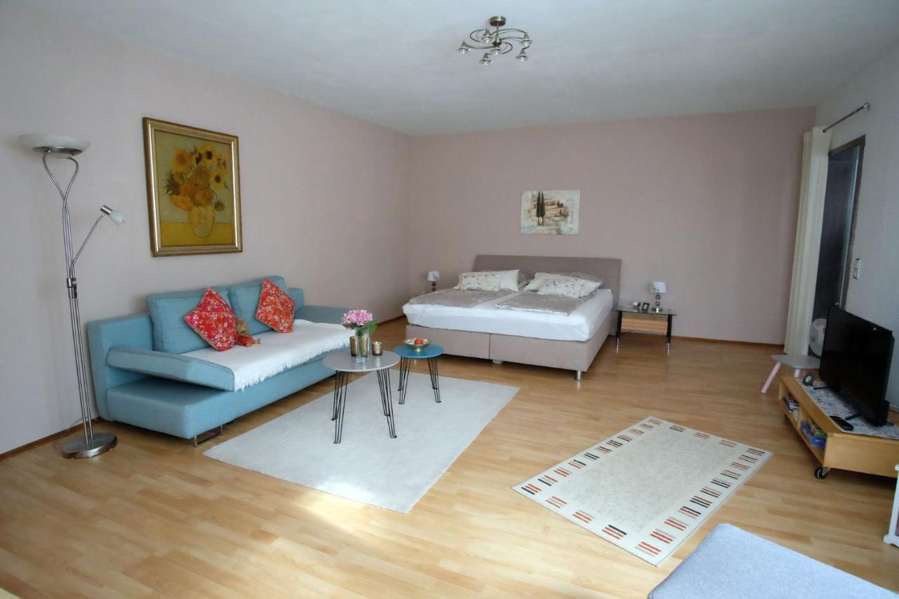 Ferienwohnung Heinzelmann Baden-Baden Kültér fotó